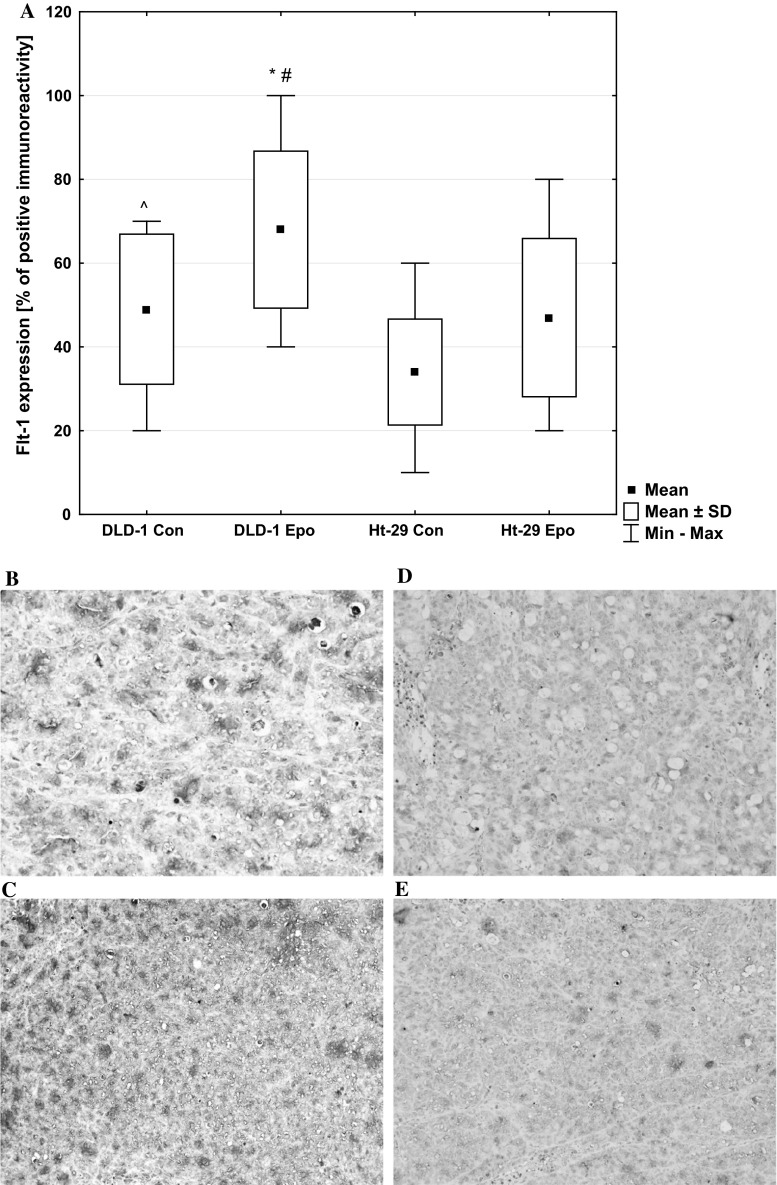 Fig. 10