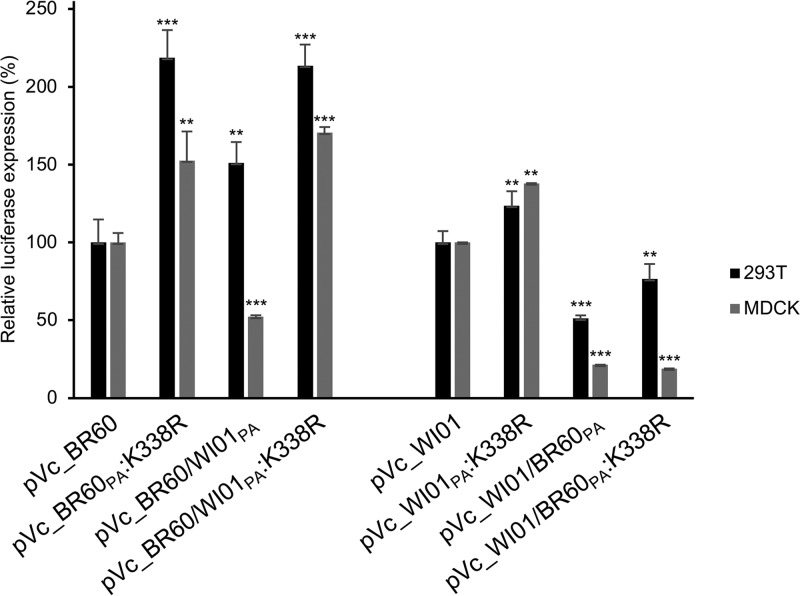 FIG 6