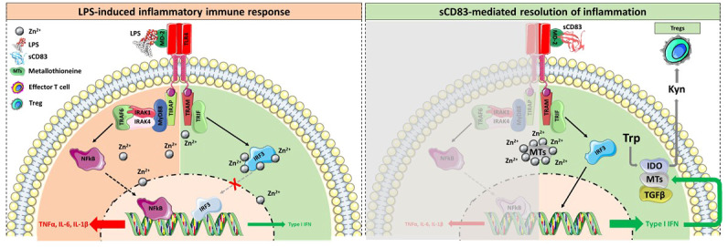 Figure 6