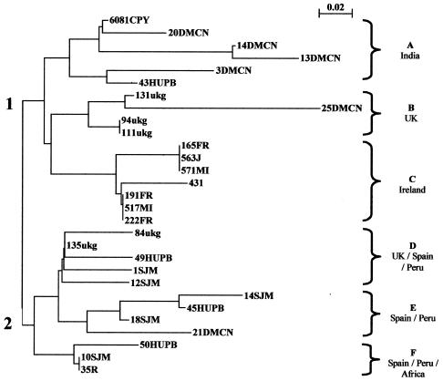 FIG. 2.