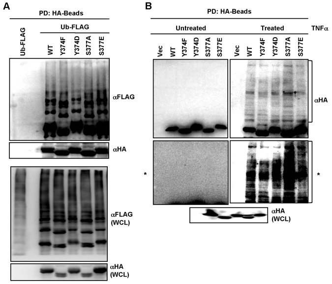 FIG 3