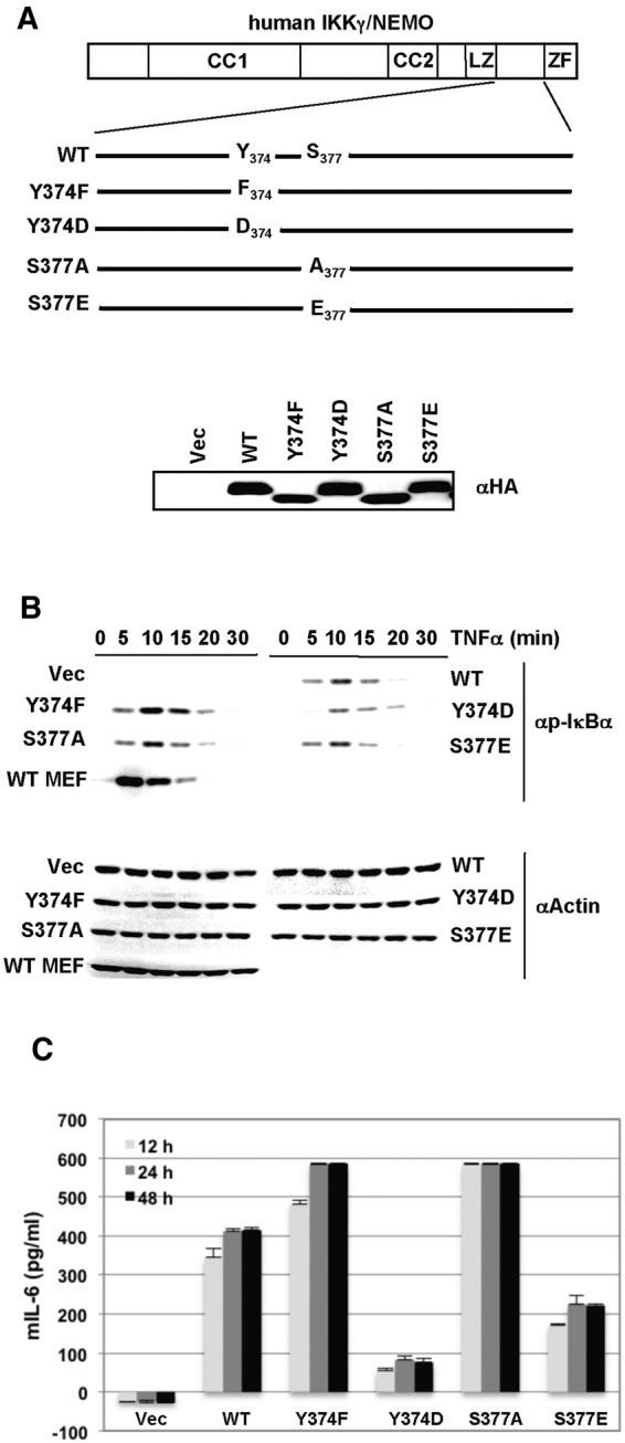 FIG 1