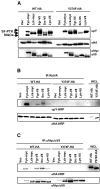 FIG 4