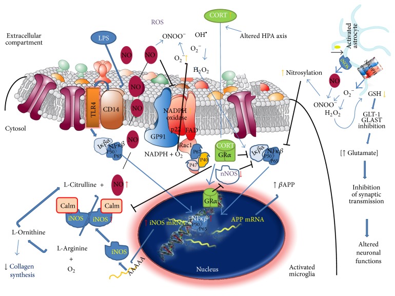 Figure 7