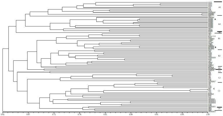 Figure 1