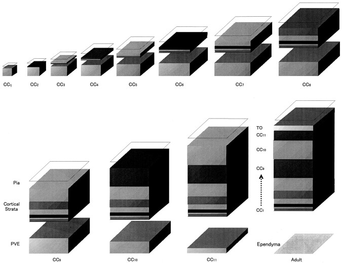 Fig. 10.