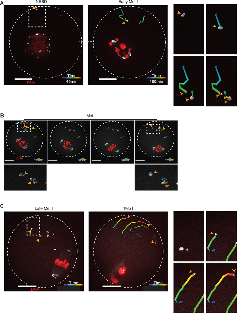 Figure 2: