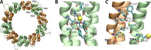 FIGURE 6.