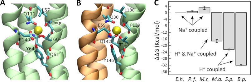 FIGURE 9.