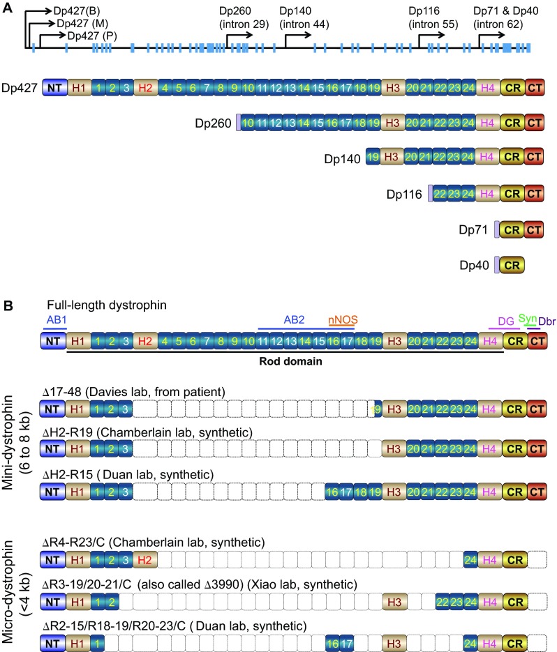 Fig. 4.