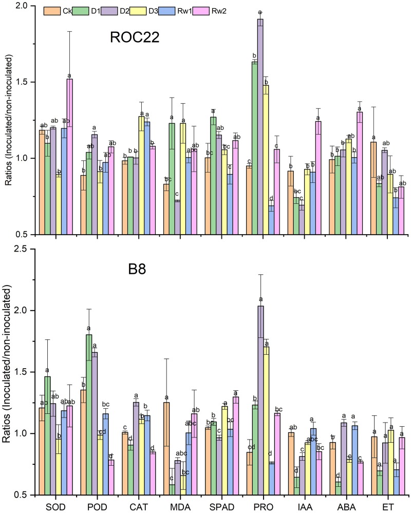 FIGURE 4