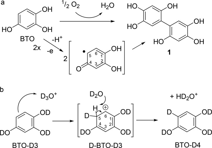 Scheme 5