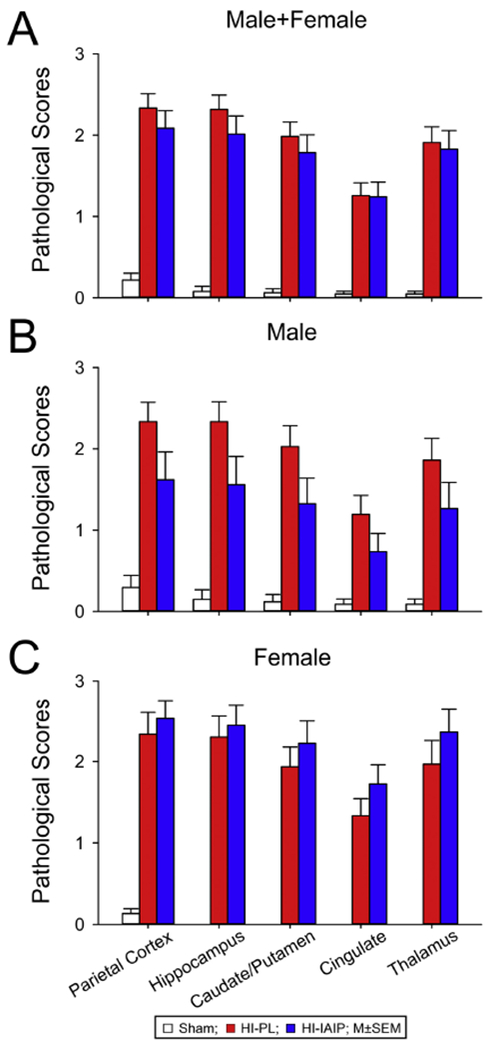 Fig. 12.