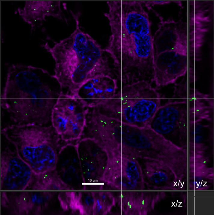 Fig 3