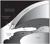 Fig. (1)