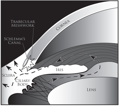 Fig. (2)