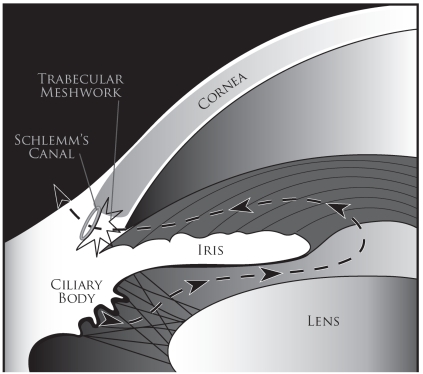 Fig. (1)