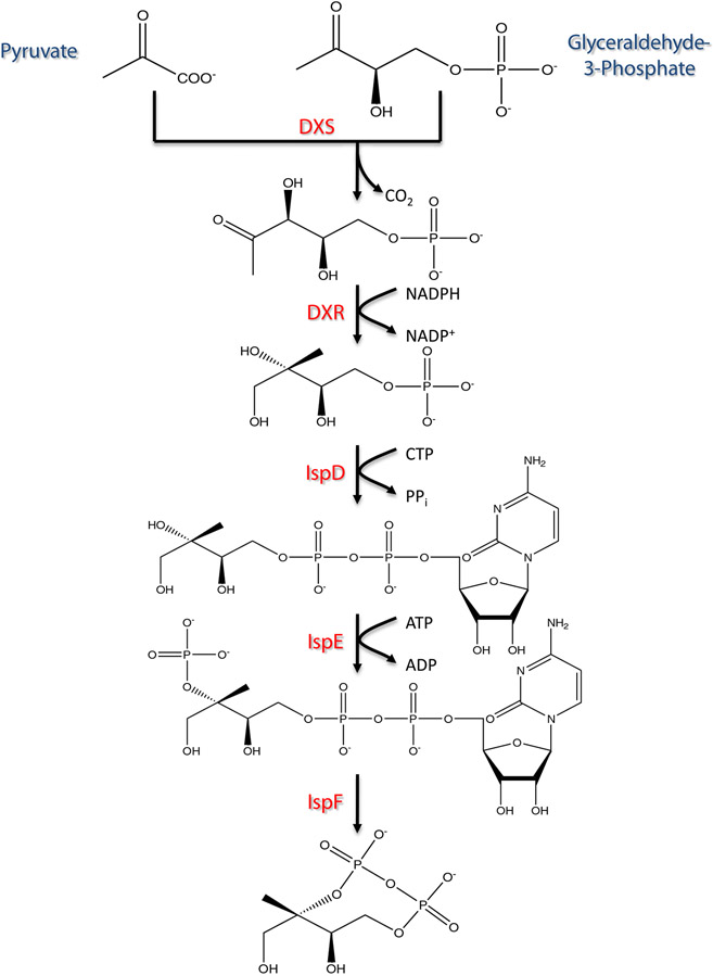 Fig. 1