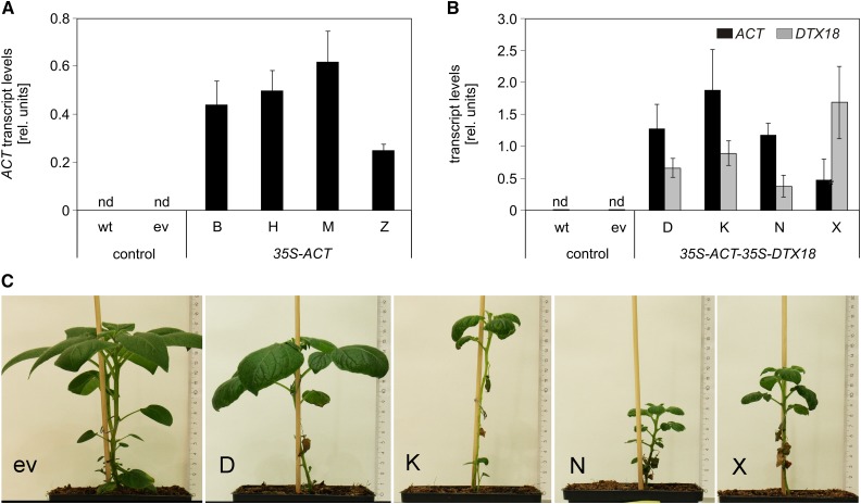 Figure 5.