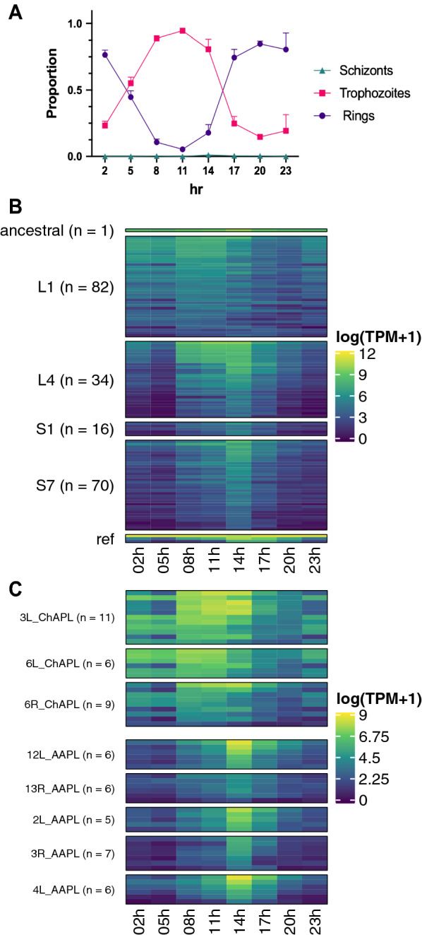 Fig. 3