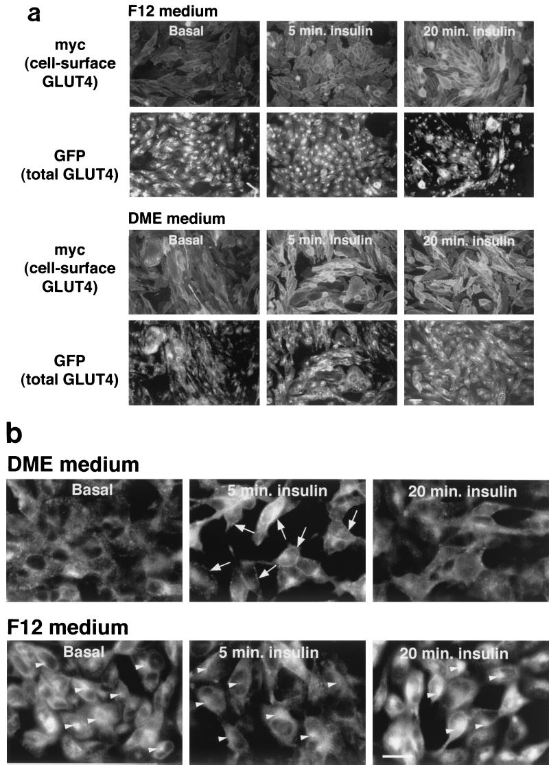 FIG. 6