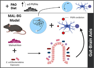 graphic file with name GLIA-70-820-g003.jpg