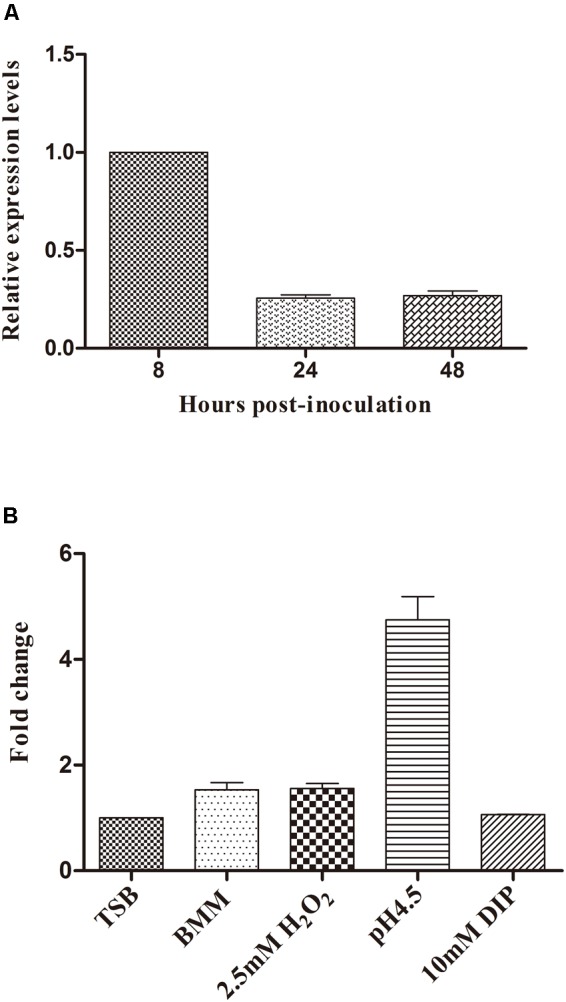 FIGURE 4