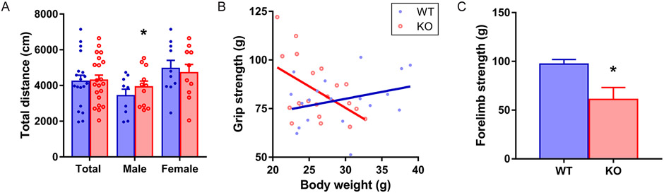 FIG 2.