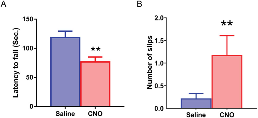 FIG 6.