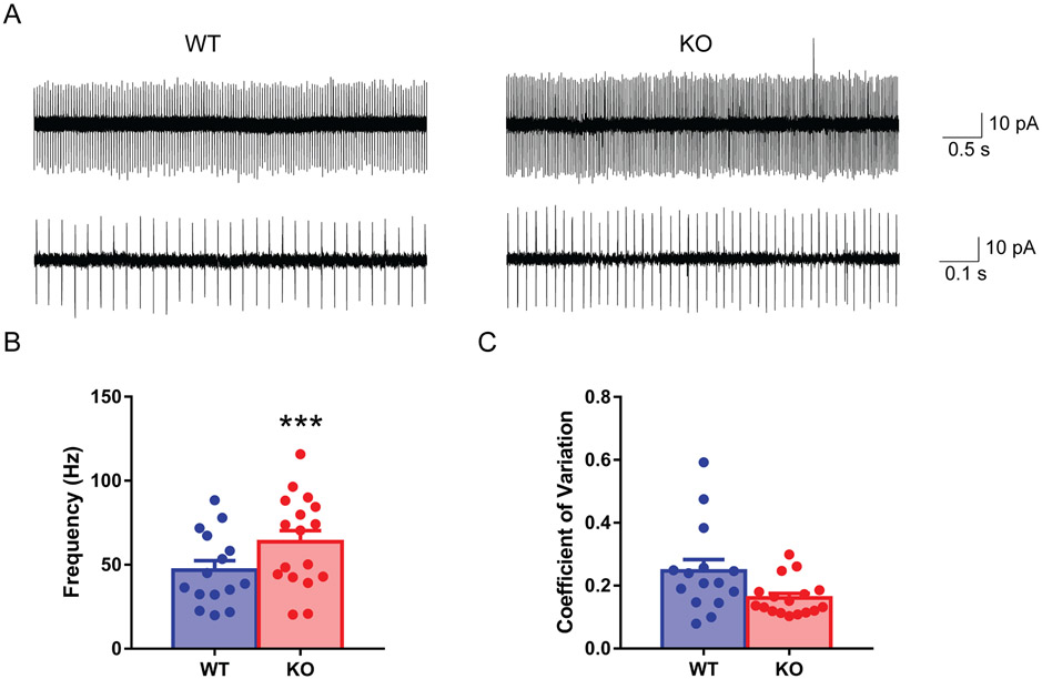 FIG 3.