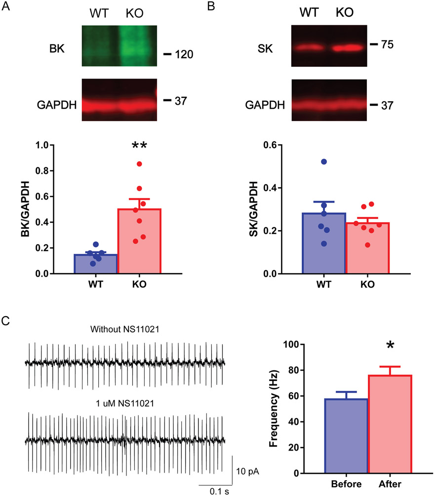 FIG 4.