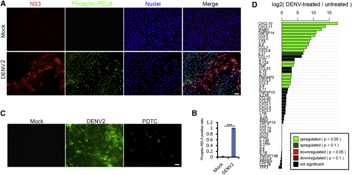 Figure 4