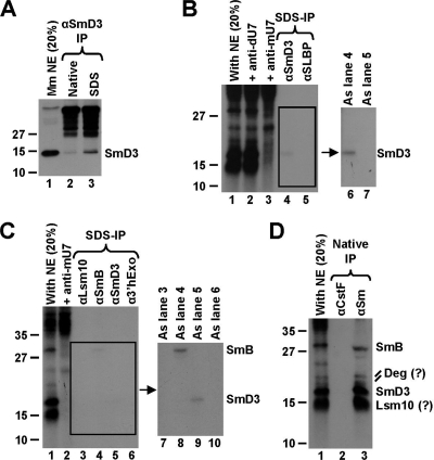 FIG. 5.