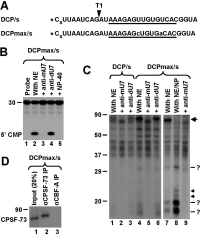 FIG. 4.