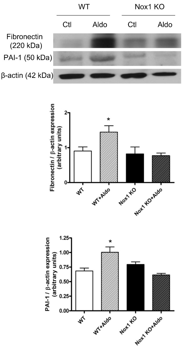 Fig. 9