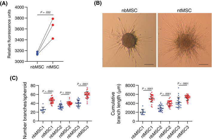 FIGURE 3