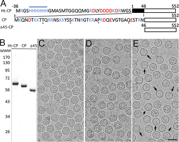 FIG 1