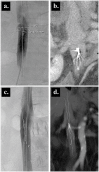 Fig. 2