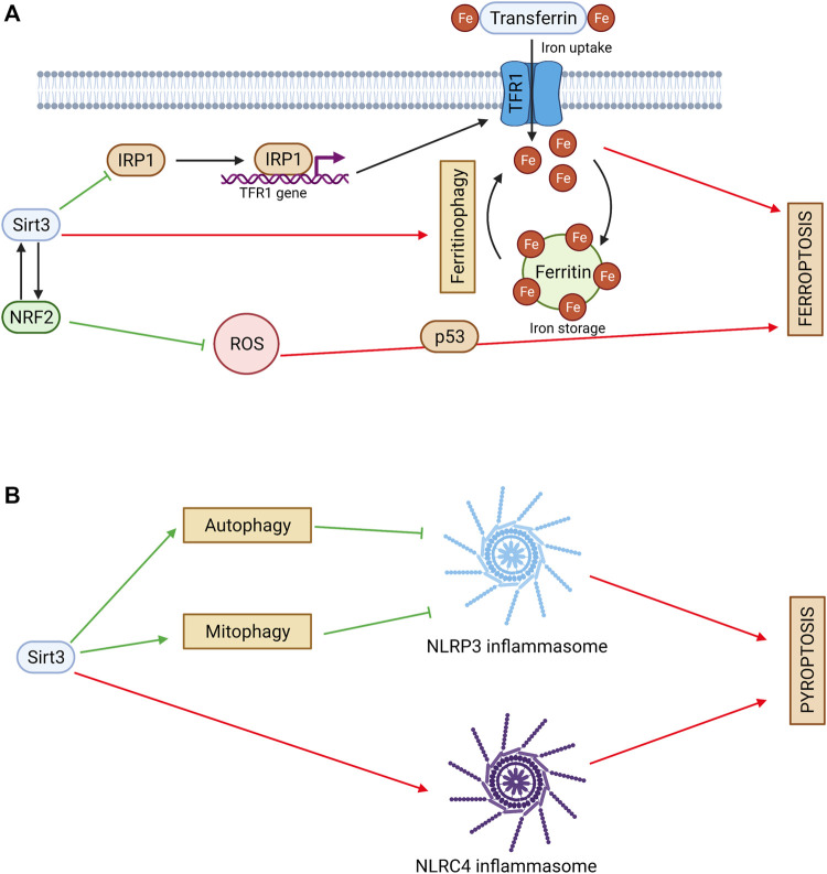 FIGURE 3