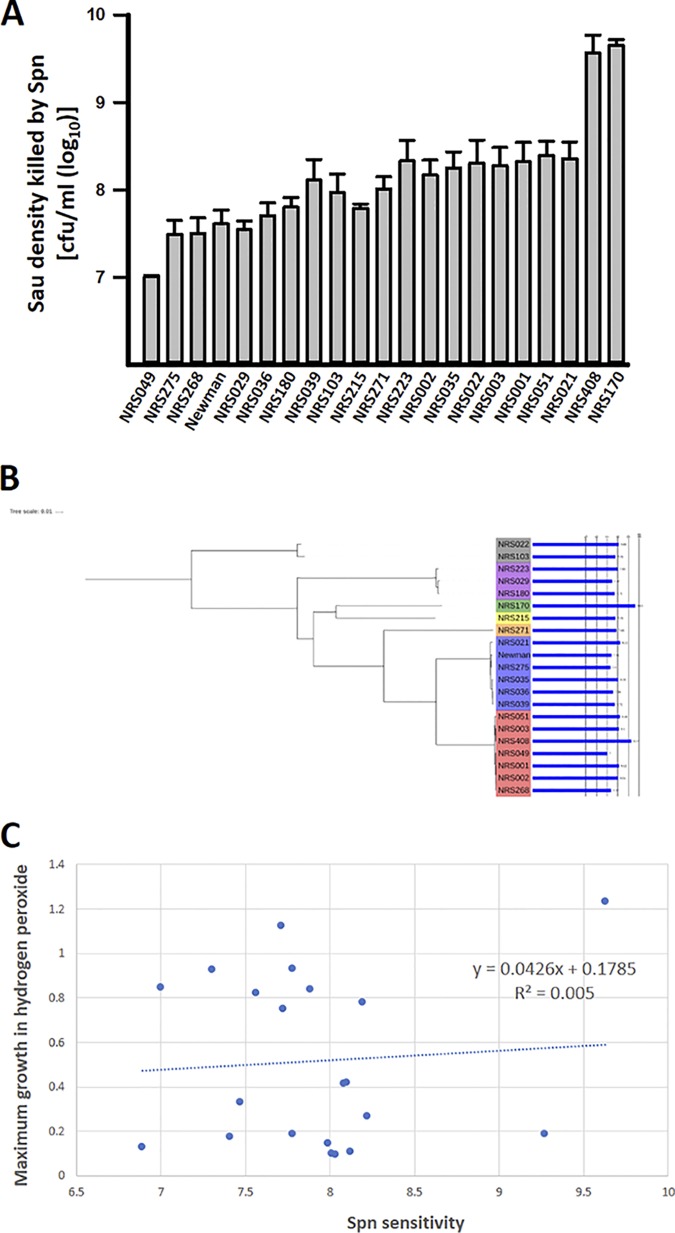 FIG 3