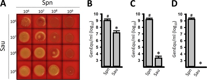 FIG 1