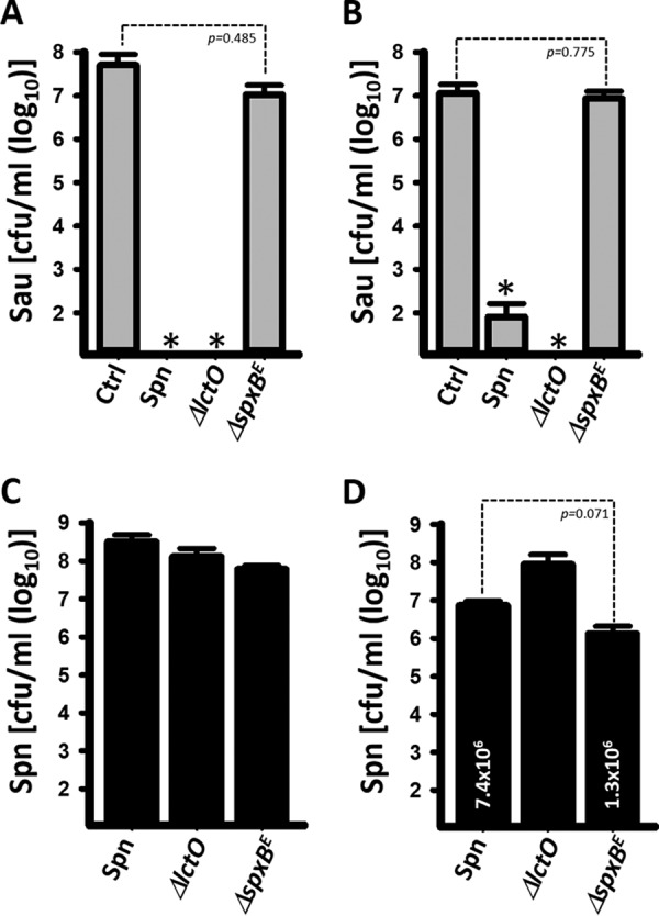 FIG 6