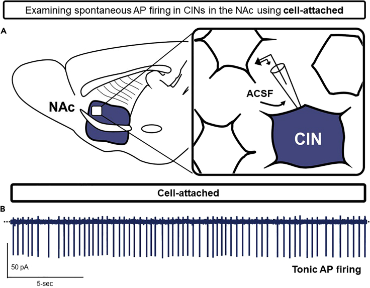 Figure 6