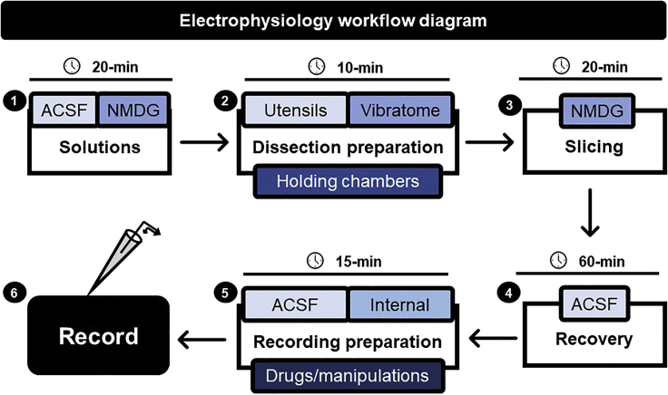 Figure 1