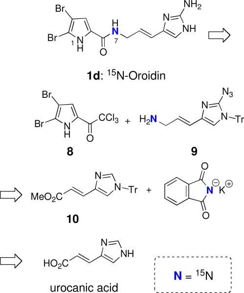 Scheme 1