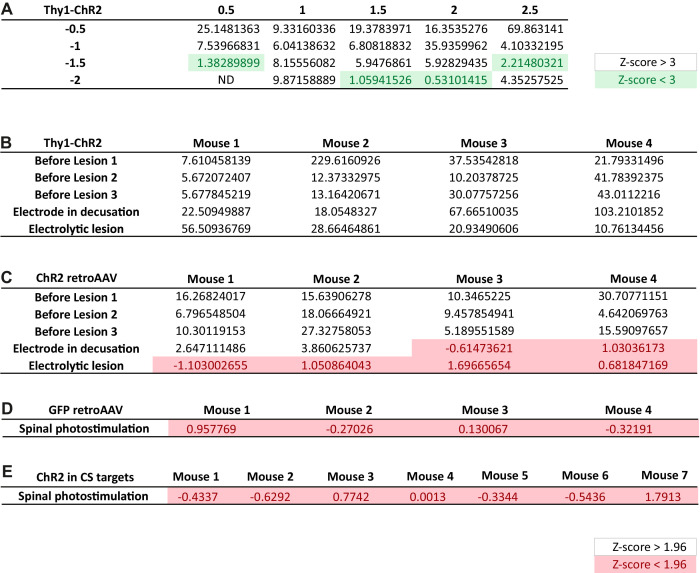 Figure 2—figure supplement 2.