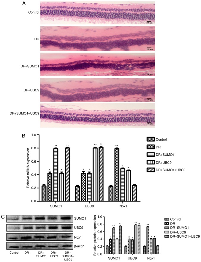 Figure 6.