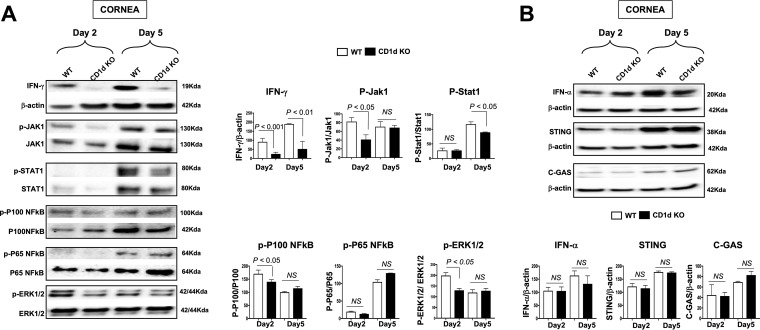 FIG 4