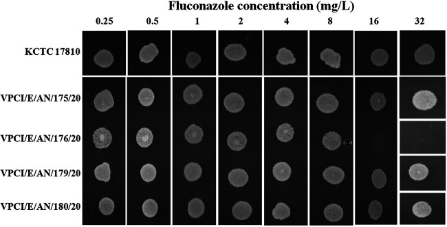 FIG 2