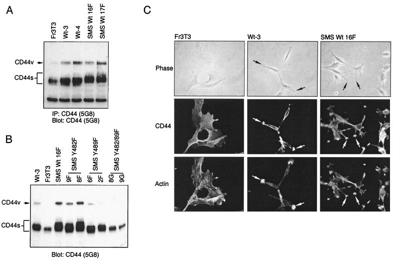 FIG. 6